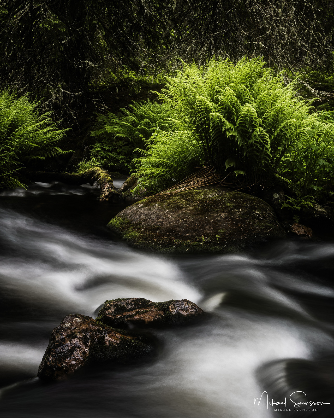 fulufjall-dalarna-210629072