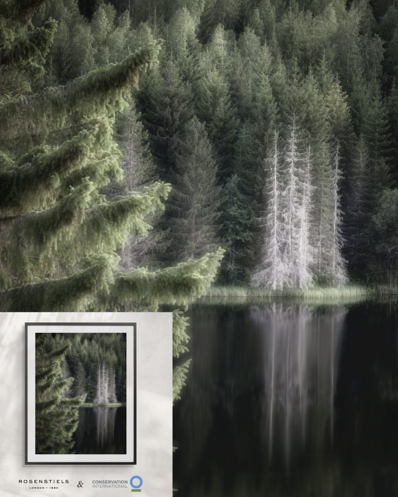 12 Artists 1 Cause 12 Artists 1 Cause