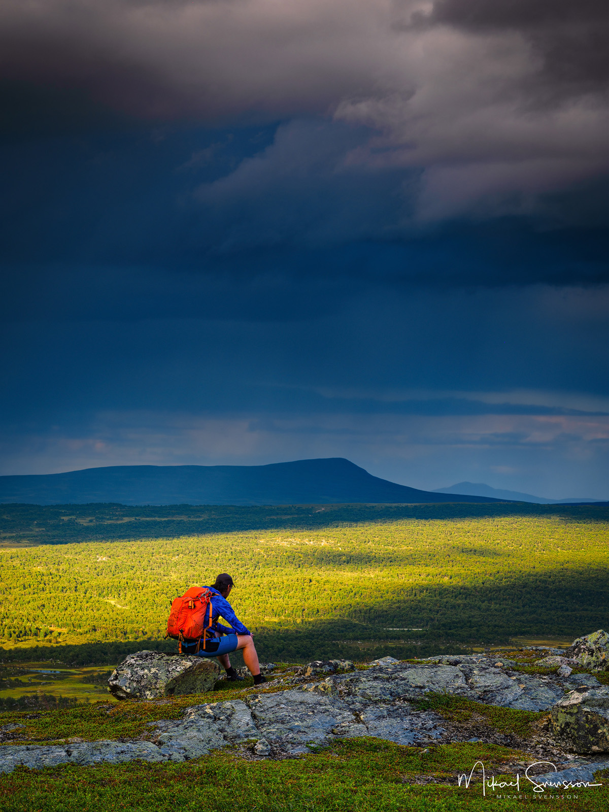 Utsikt i närheten av Våldalshöjden, Härjedalen.