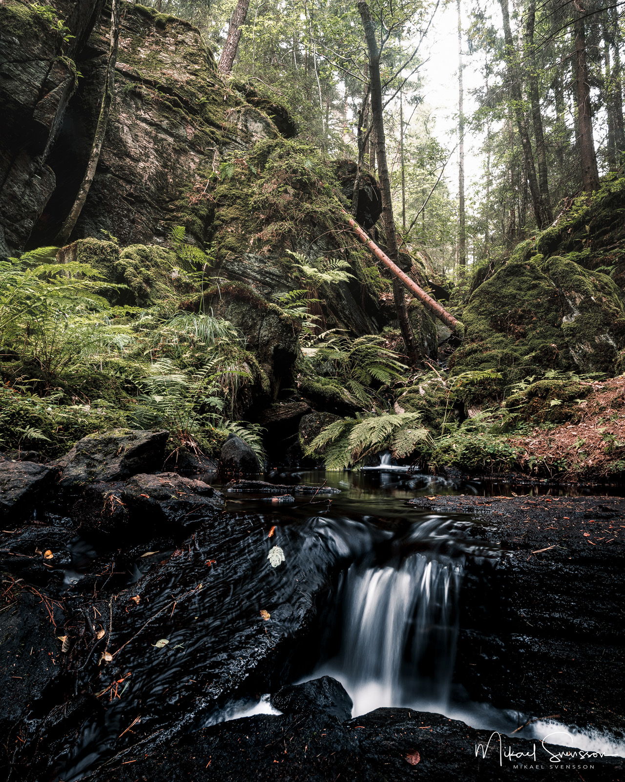 Bråtaskogen, Härryda kommun.