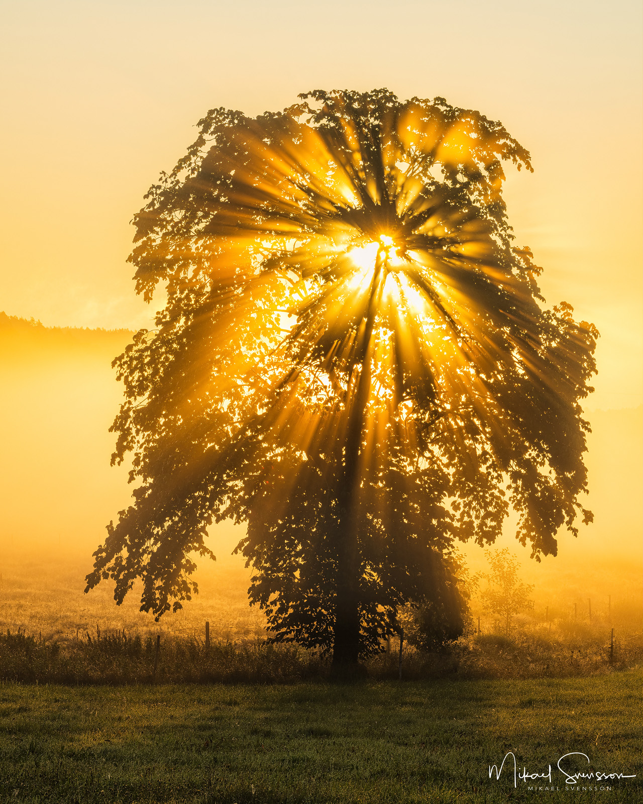 Hällesåker, Mölndal