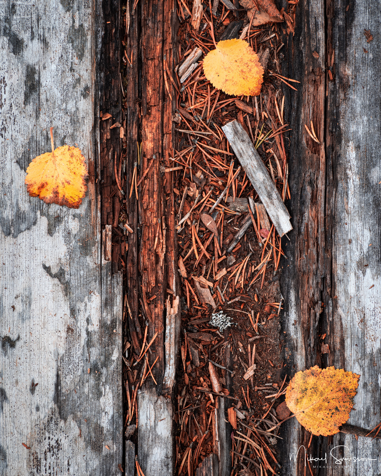 Häckelsjön, Härjedalen