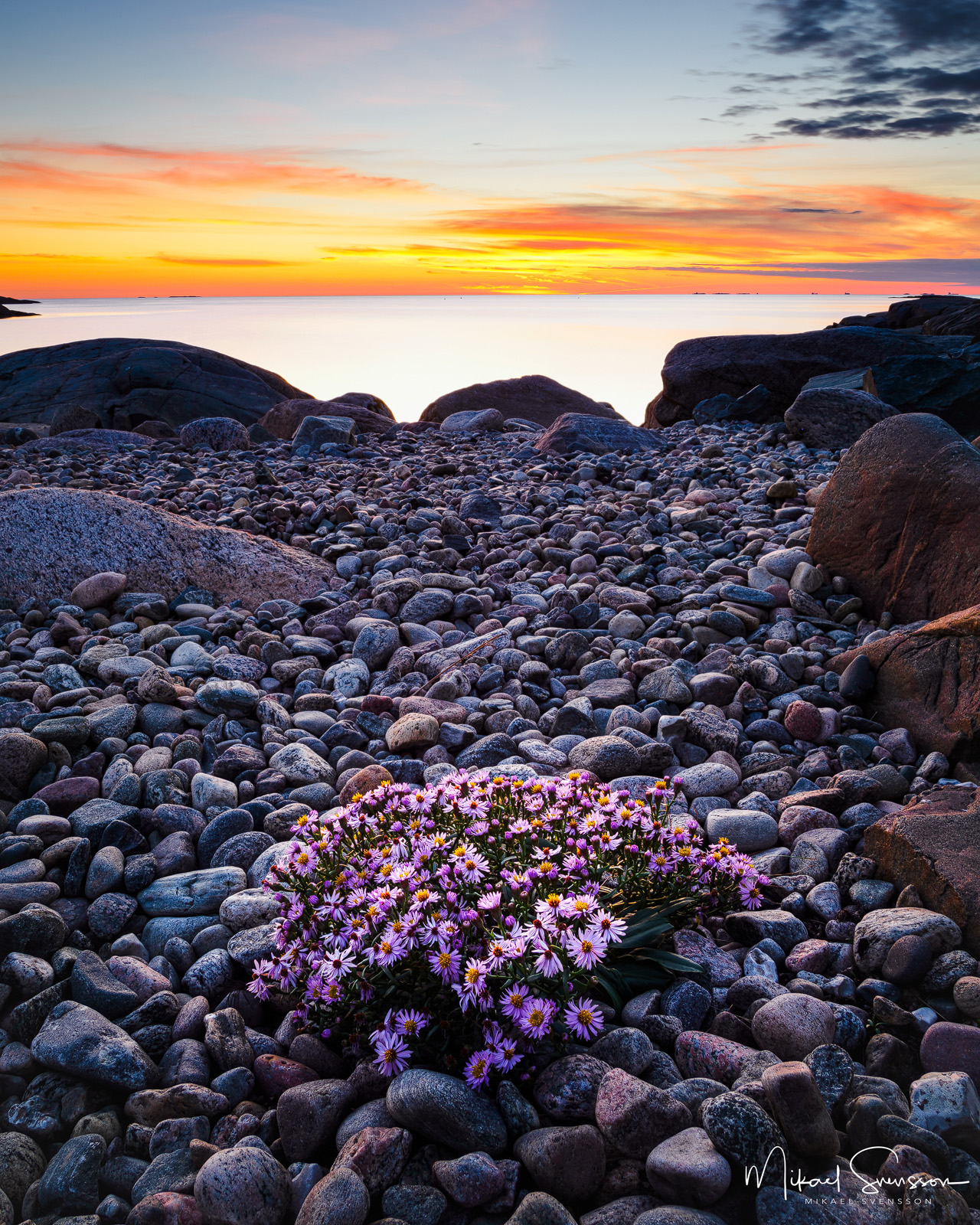 Lerkil, Onsala
