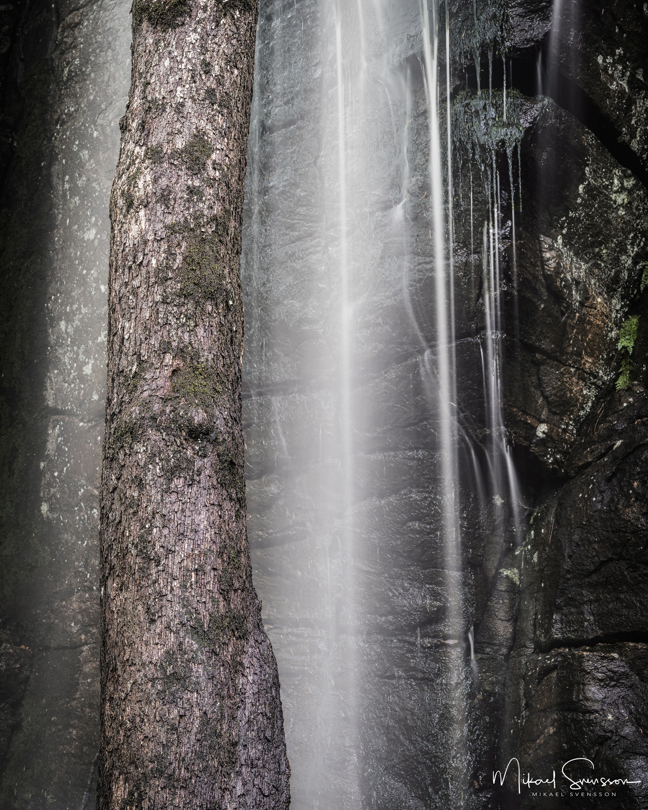 Gallhållans Naturreservat, Härryda kommun