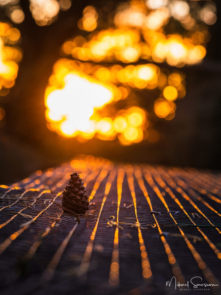 Särö Västerskog Naturreservat, Kungsbacka kommun