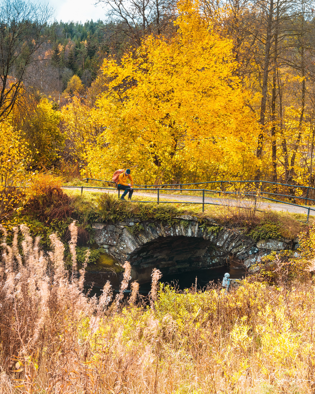 Dansereds bro i Härryda
