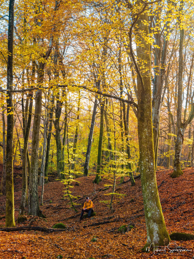 Gäddevik Naturreservat, KUngsbacka kommun