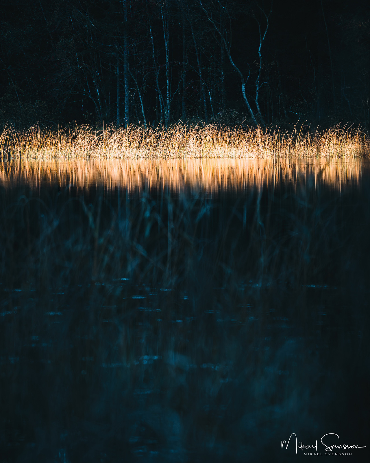 Gallhållans Naturreservat, Härryda kommun