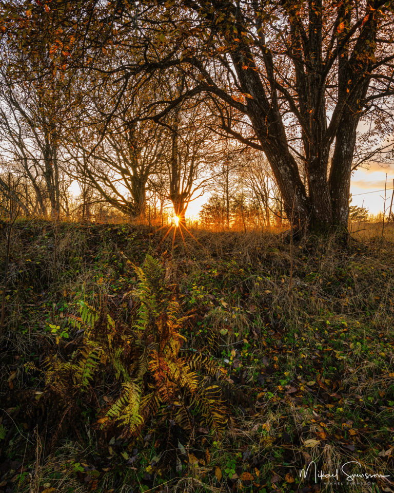 Kärrsjöns naturområde, Härryda kommun
