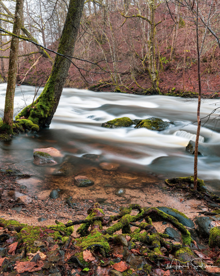 Säveåns Naturreservat, Lerums kommun