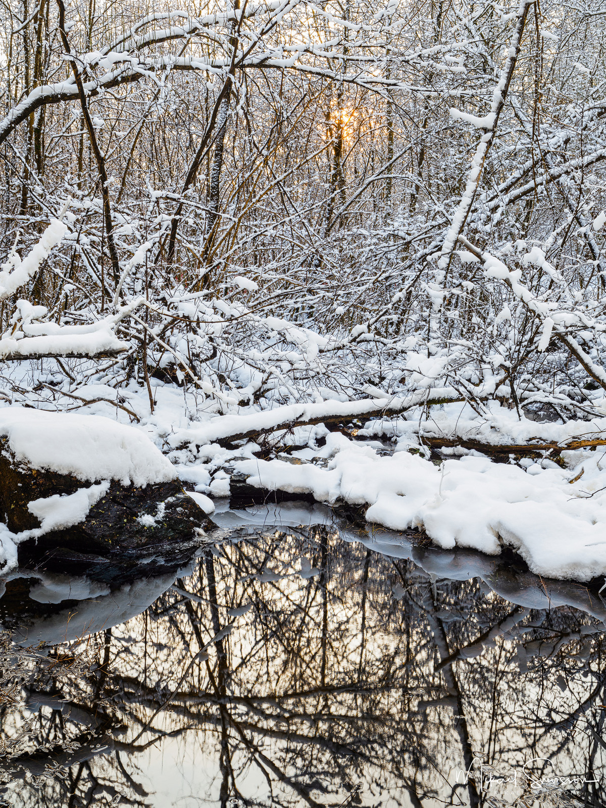 Lysegården Naturreservat, Kungälvs kommun