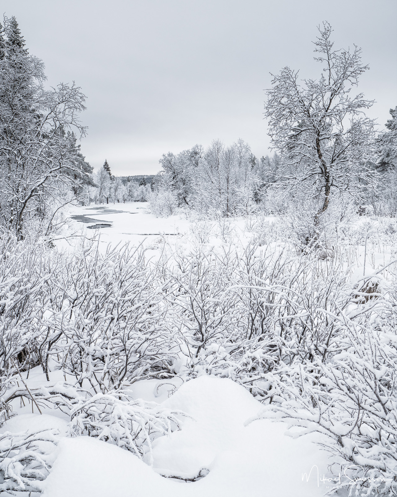 Grövlan vid Storsätern i vinterskrud