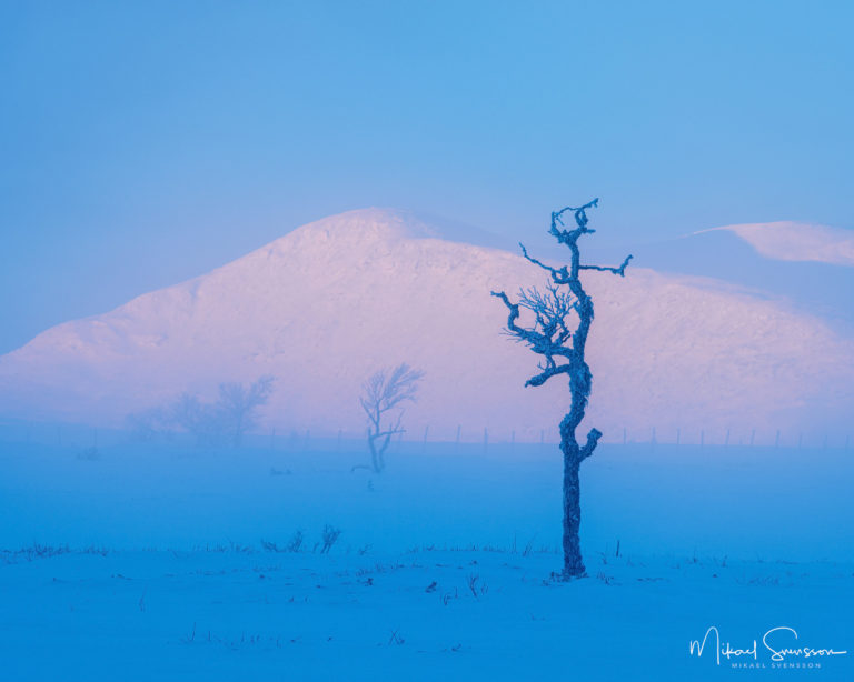 Grövelsjöfjällen, Dalarna.