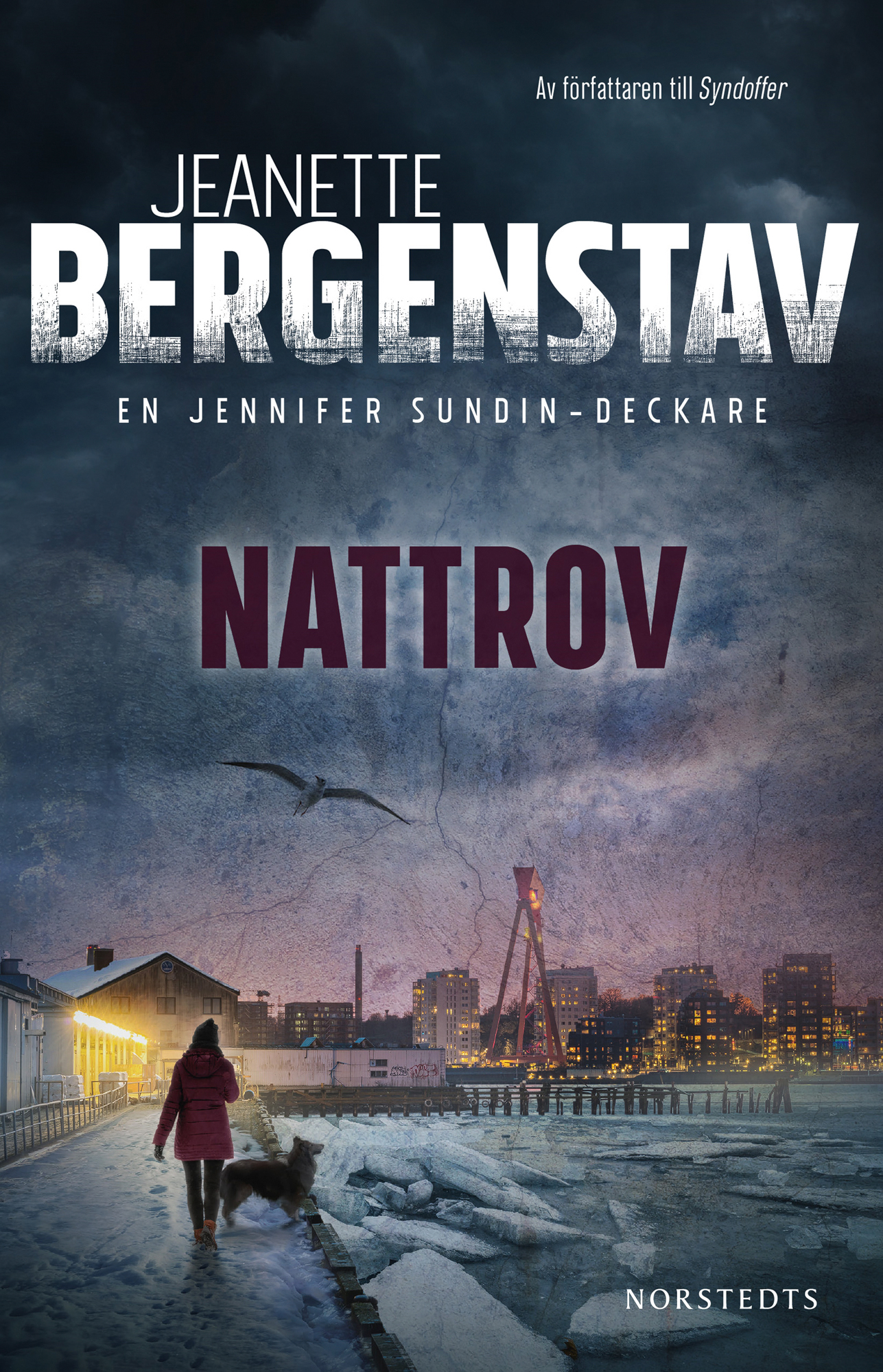 Bokomslag till Nattrov