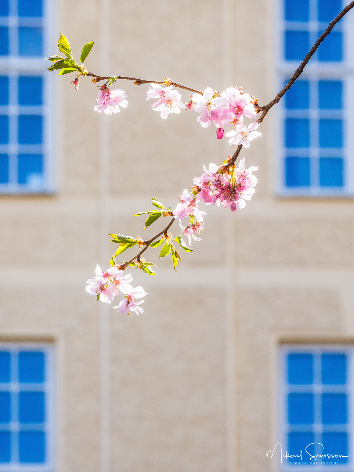 Seminarieparken, Göteborg