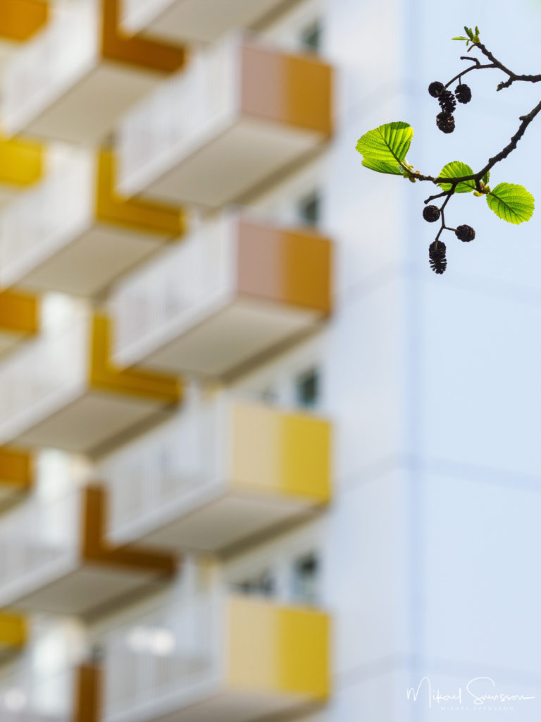 Al kottar framför balkonger