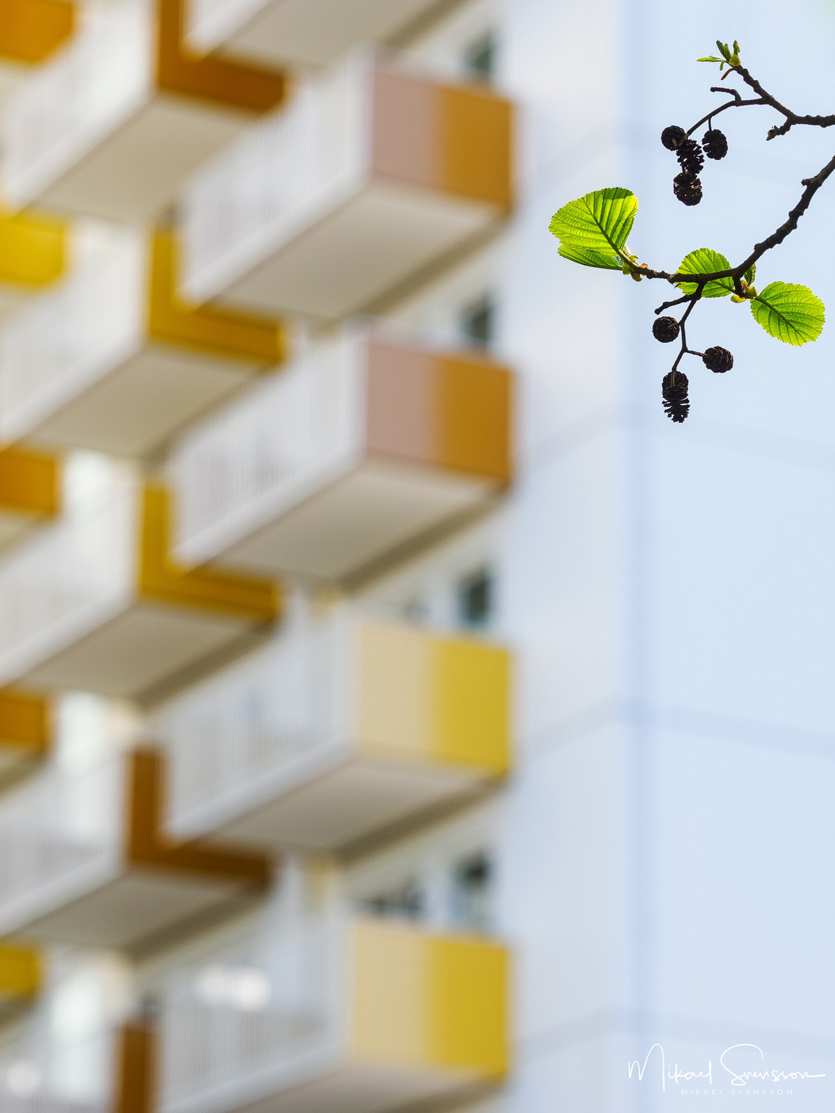 Al kottar framför balkonger