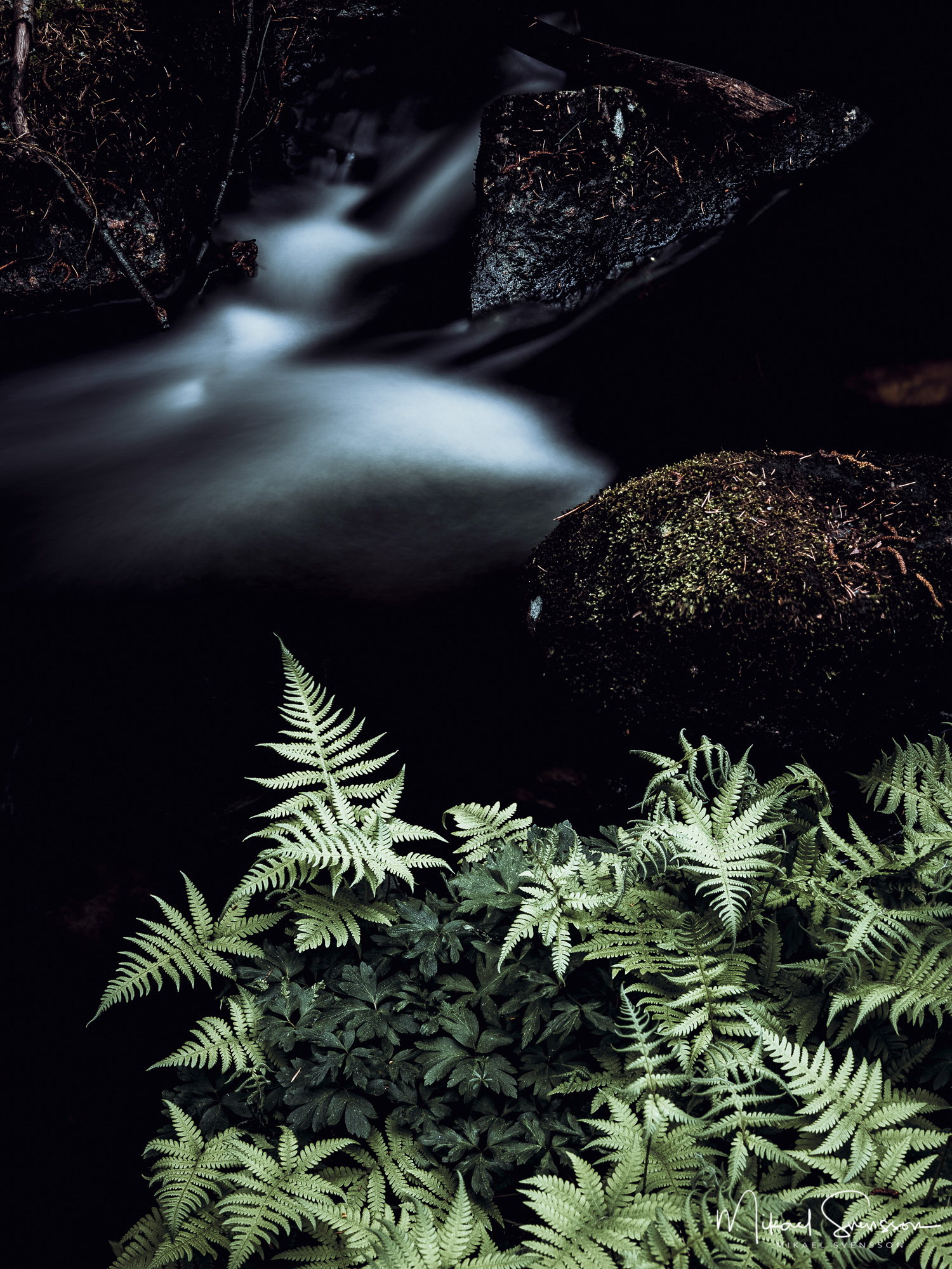 Bråtaskogen, Härryda kommun