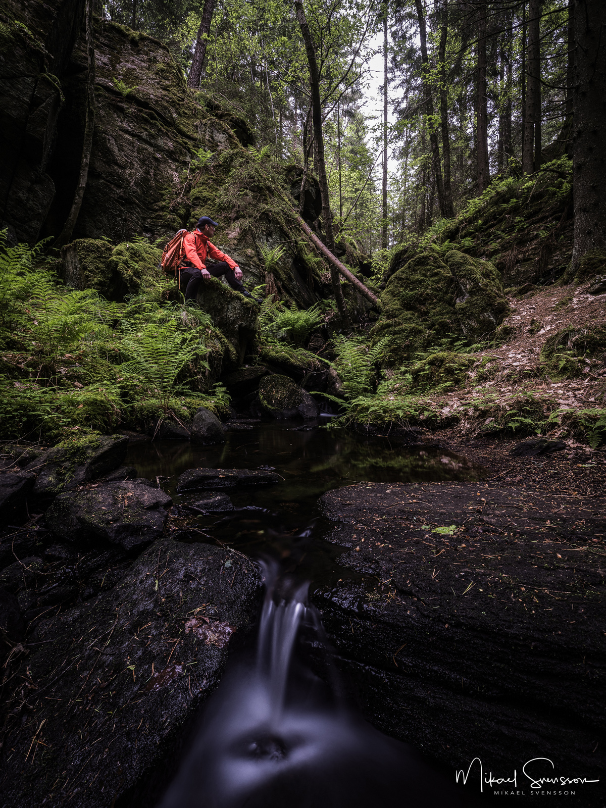 Vandrare i Bråtaskogen naturreservat, Härryda kommun.