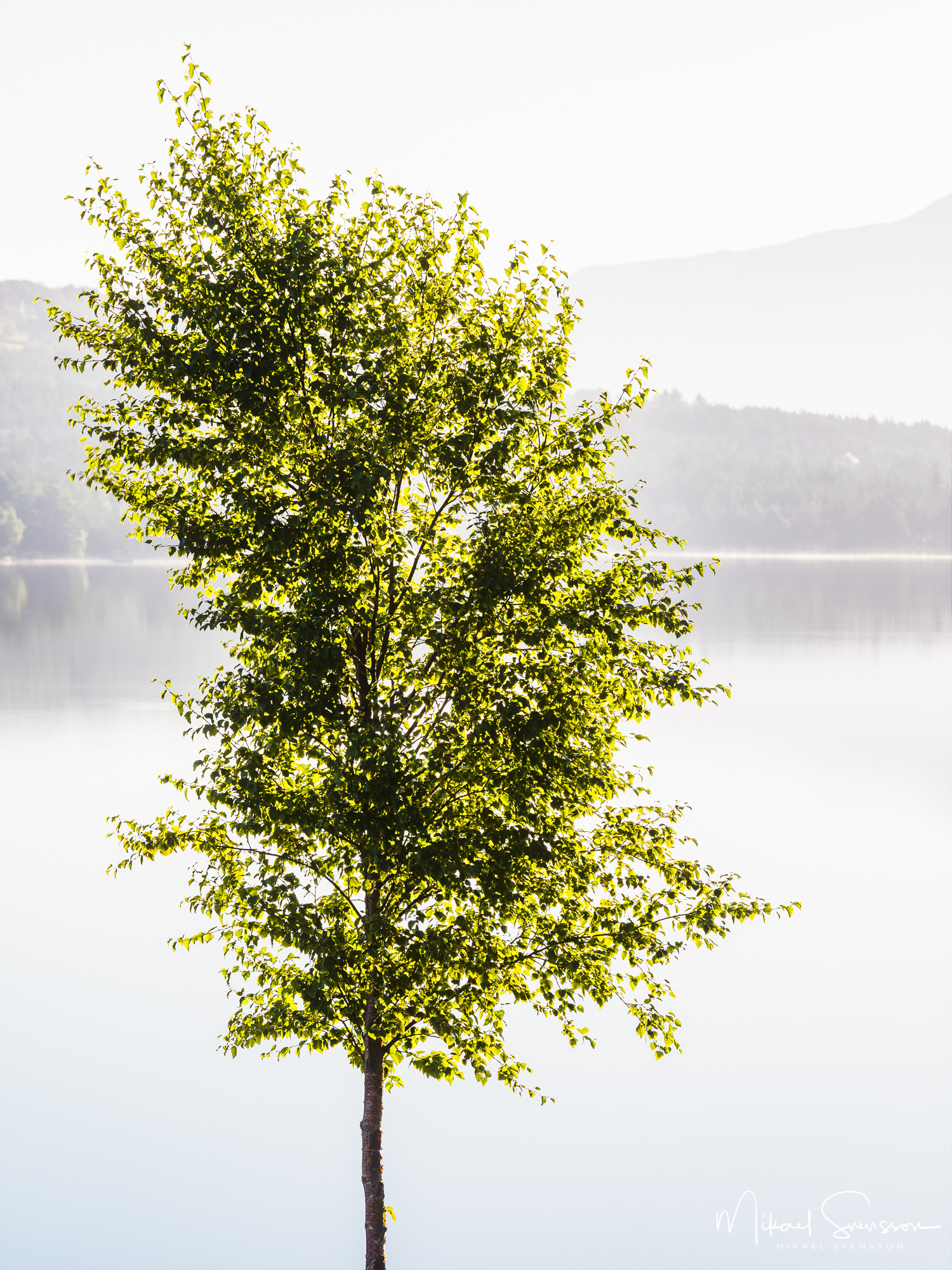 Nåsavatnet, Møre og Romsdal, Norge