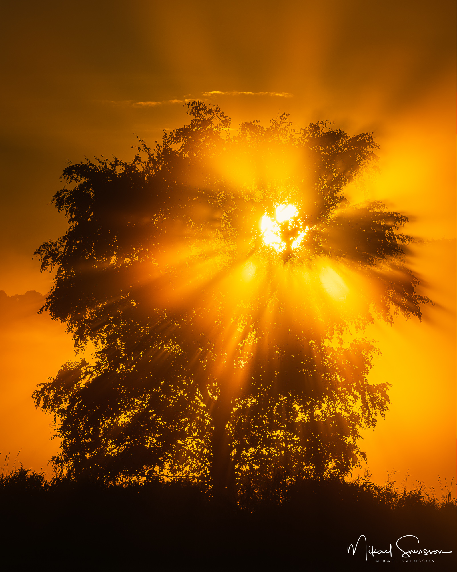 Soluppgång vid Lindome, Mölndal.