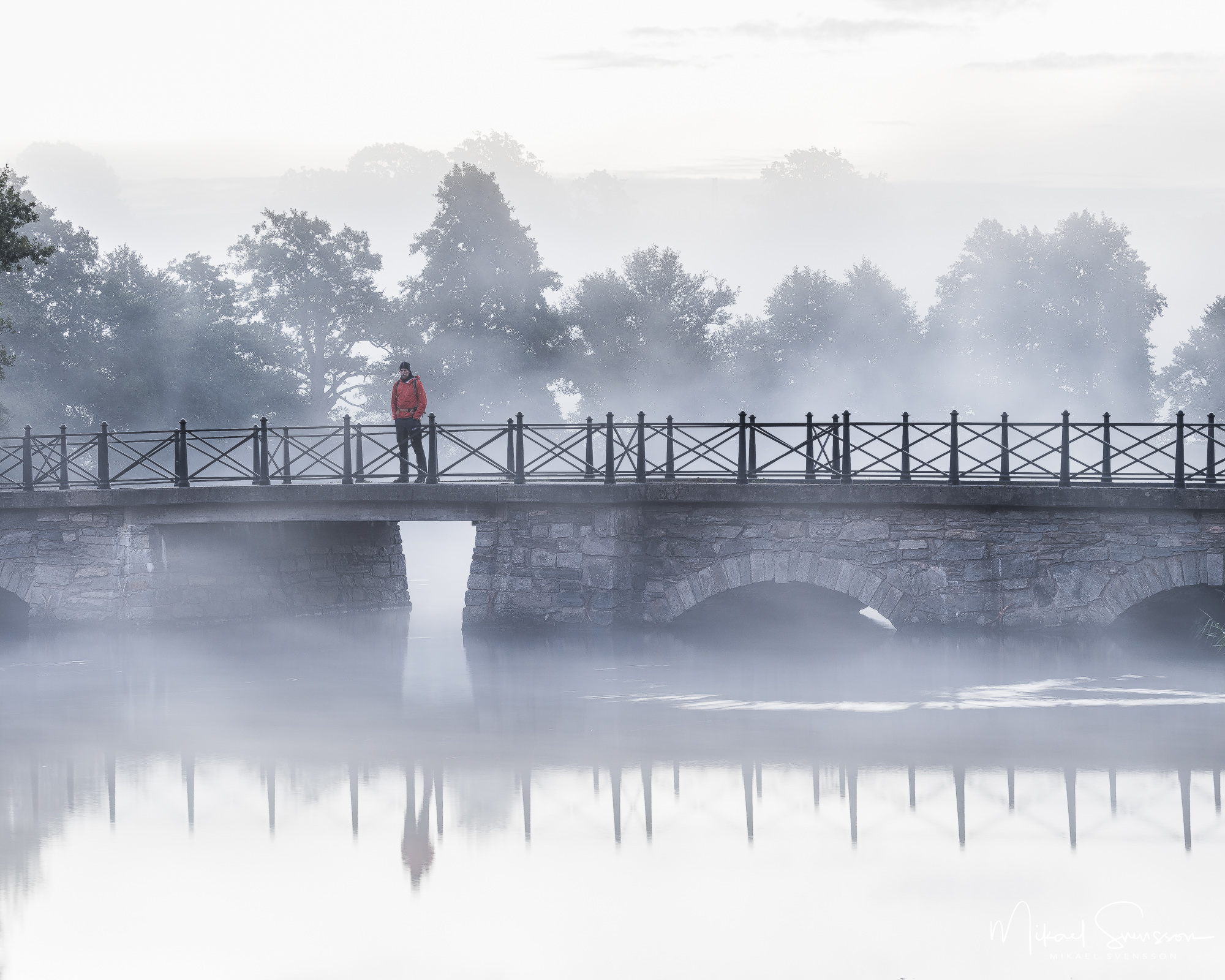 Dimma vid Nääs, Lerums kommun