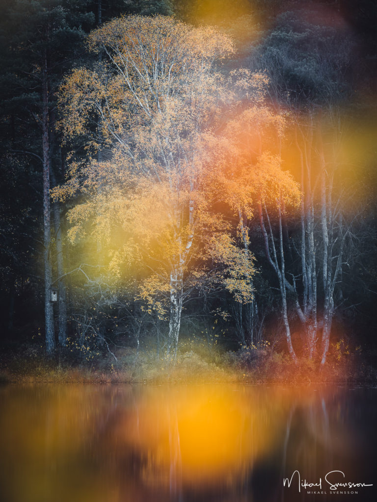 Höst vid sjön Horsika, Mölndal.