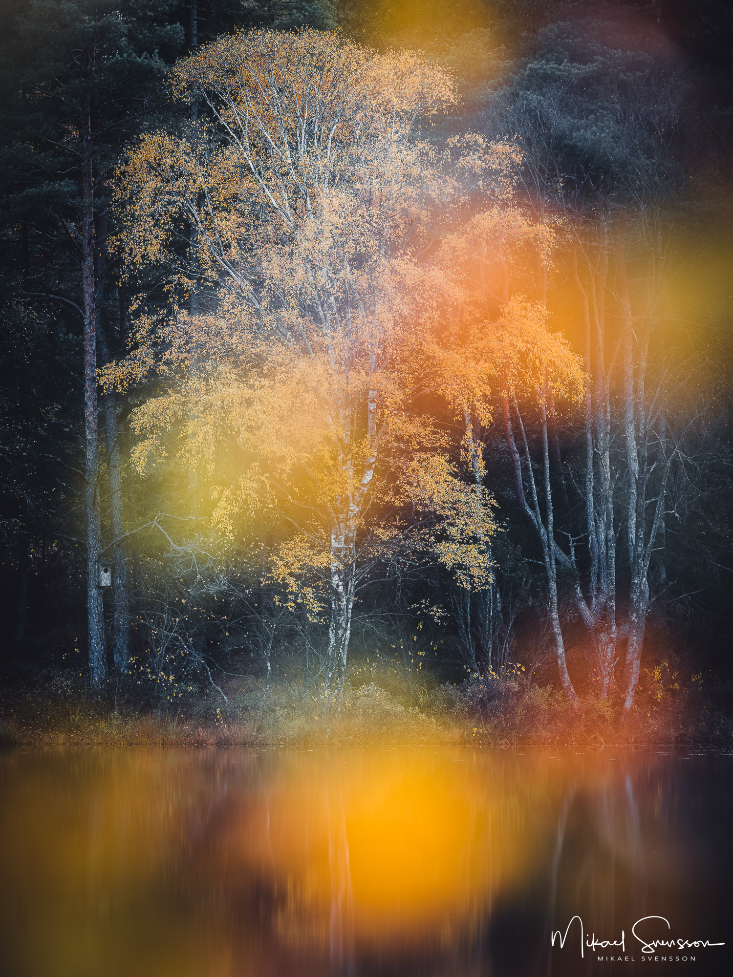 Höst vid sjön Horsika, Mölndal.