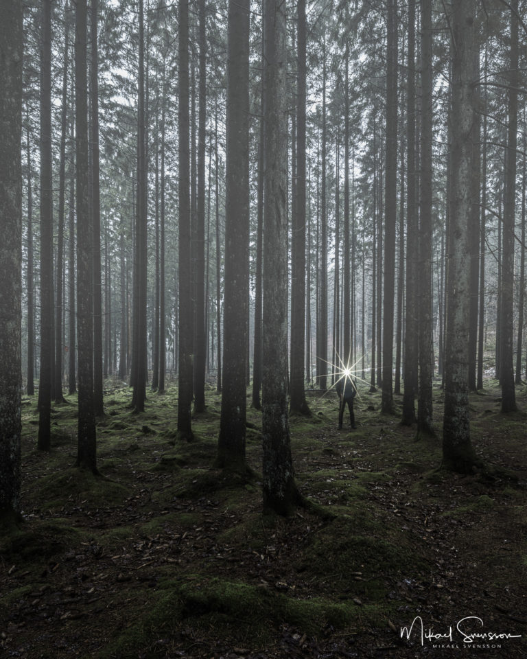 Herkulesskogen, Pixbo, Mölndal.