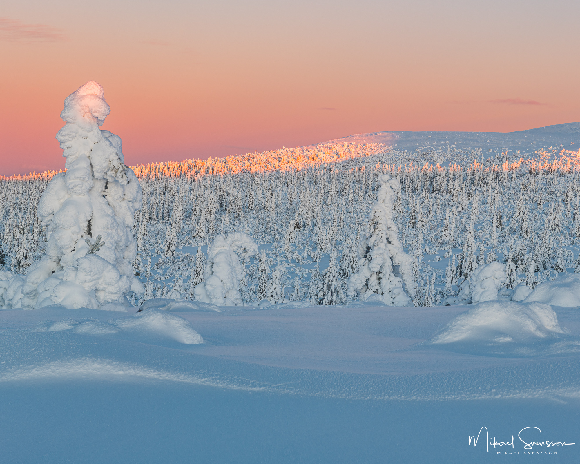 Gryning vid Lofsdalsfjällen, Härjedalen.