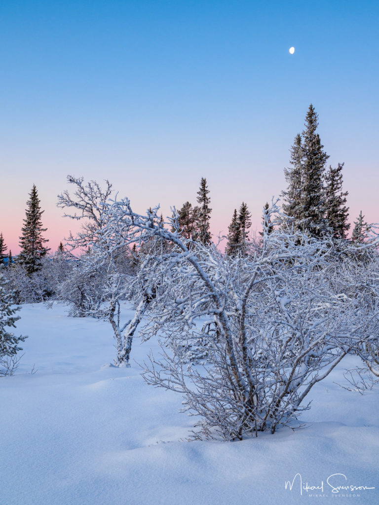 Gryning vid Lofsdalen, Härjedalen.