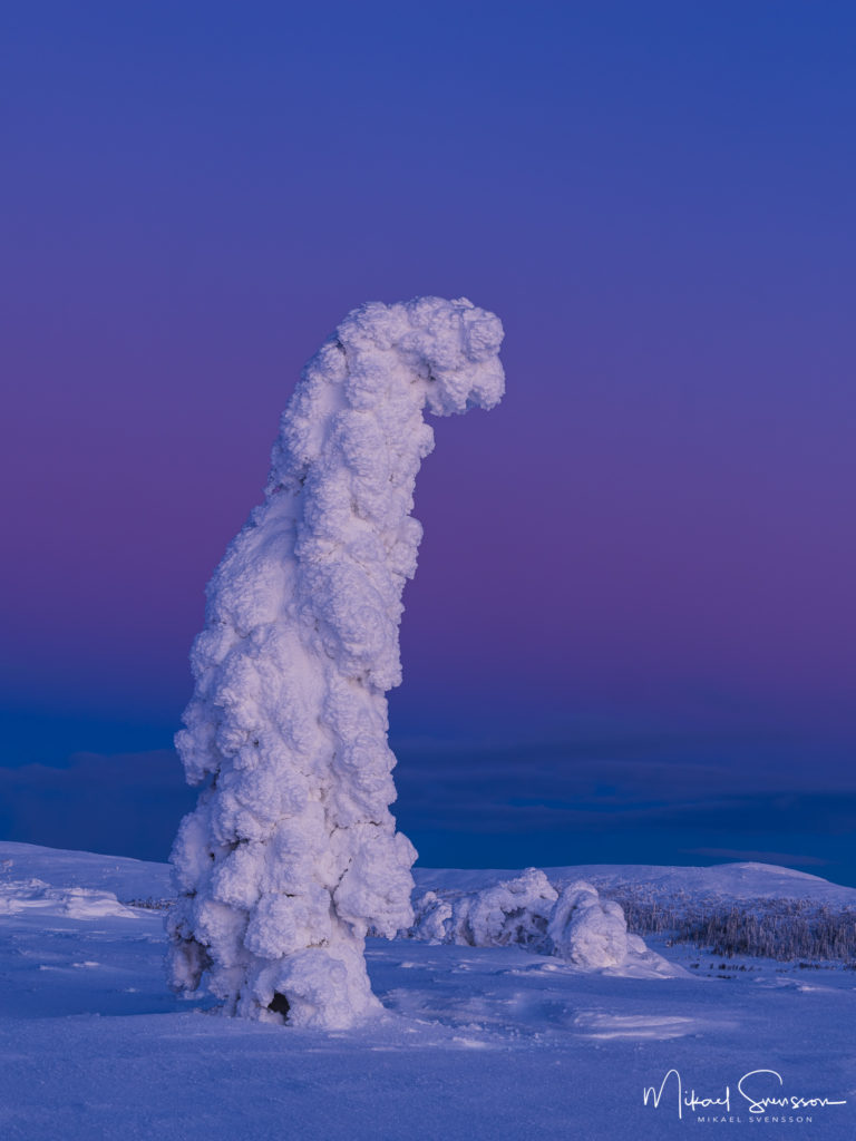 Midvinter i Lofsdalsfjällen.