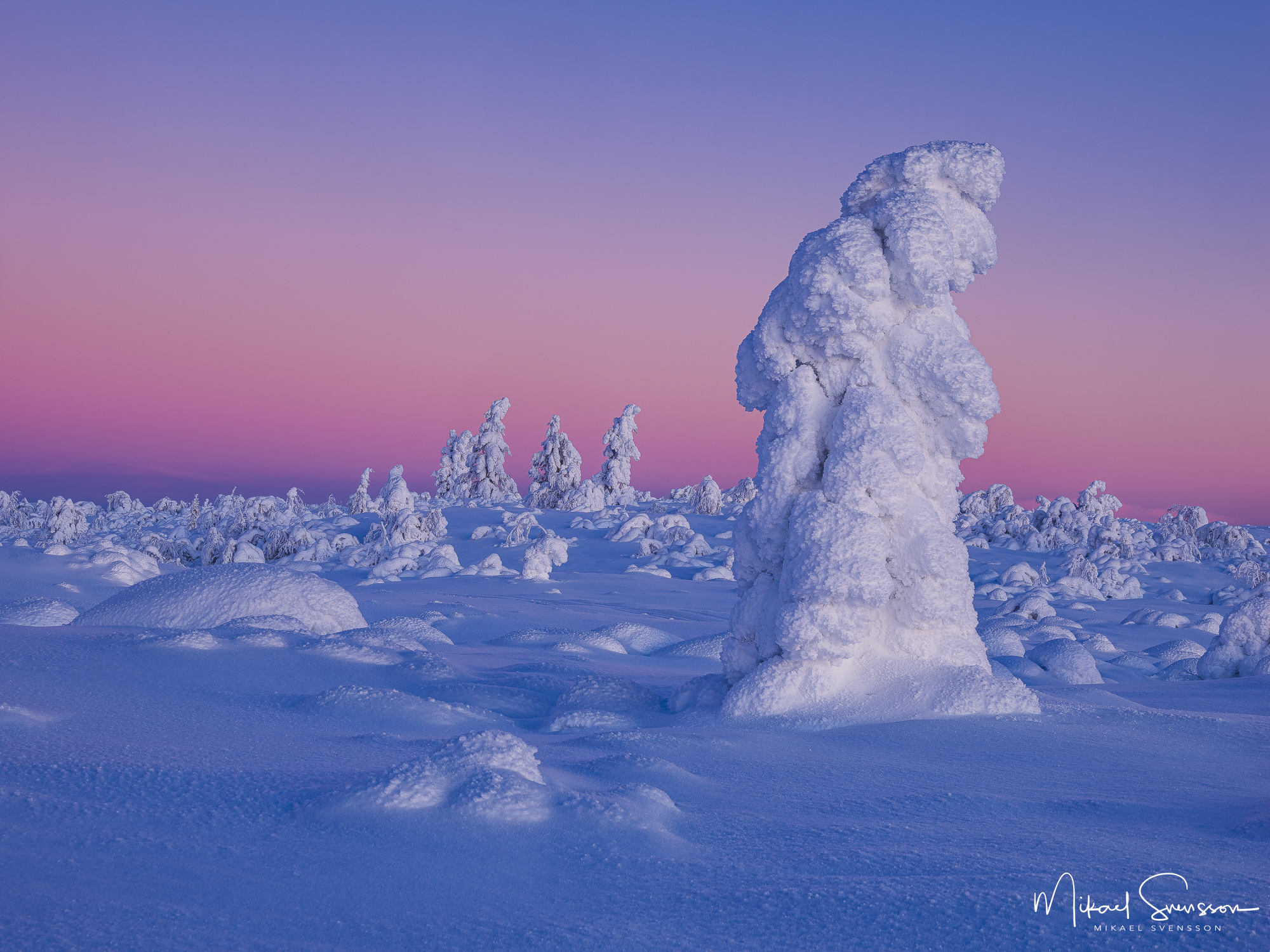 Midvinterljus i Lofsdalsfjällen.