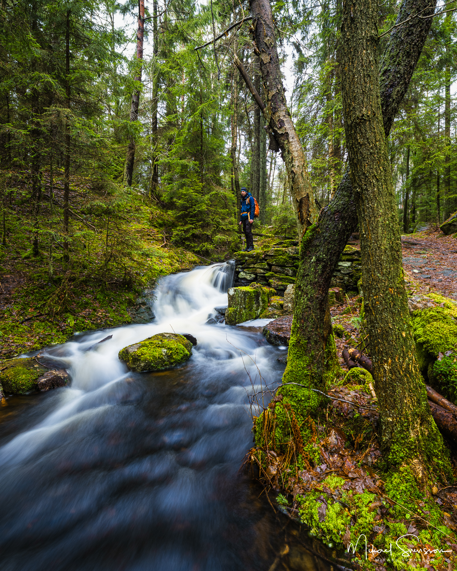 Man står vid vattenfall i Bråtaskogens naturreservat