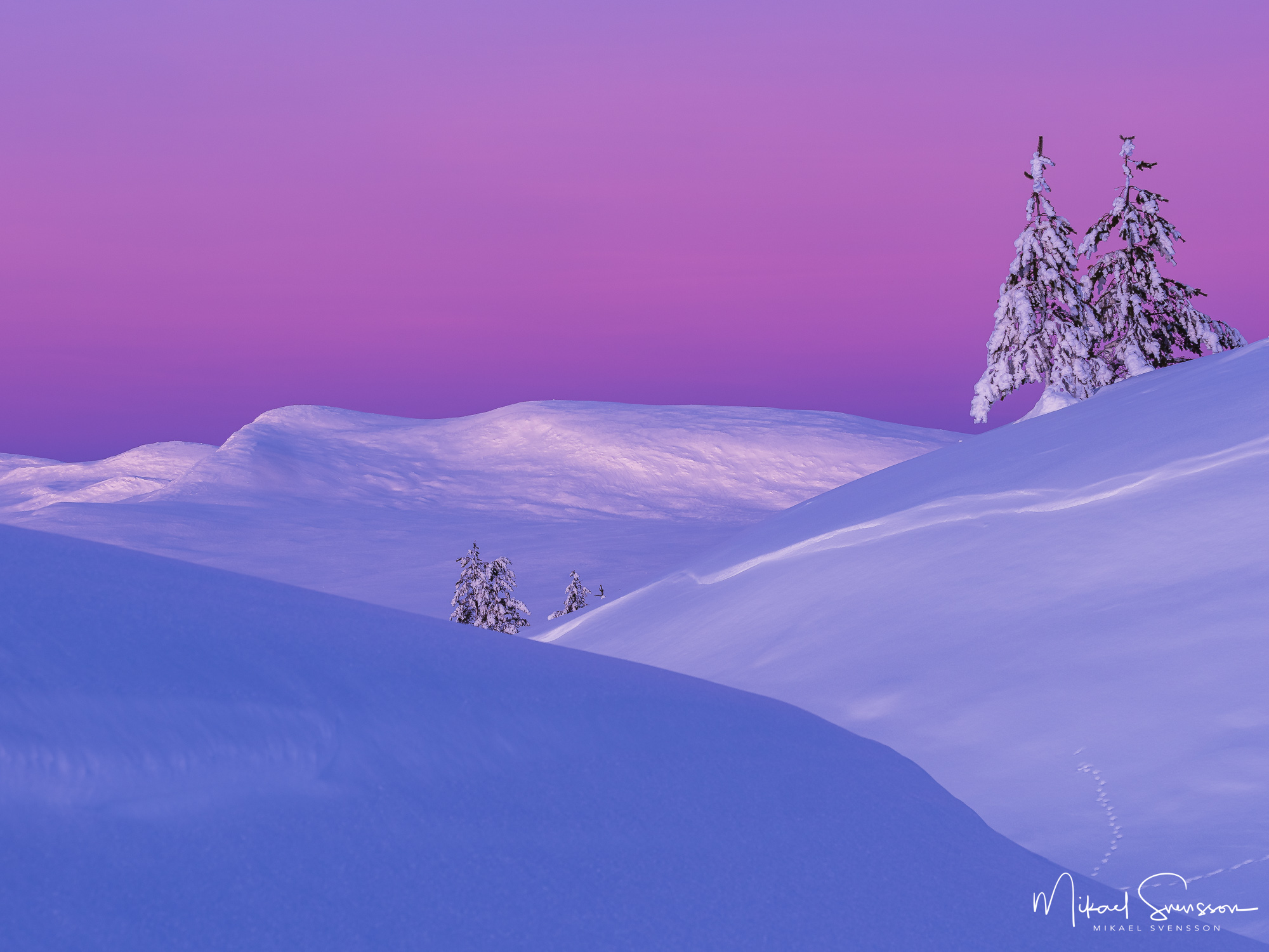 Midvinterljus i Grövelsjöfjällen.