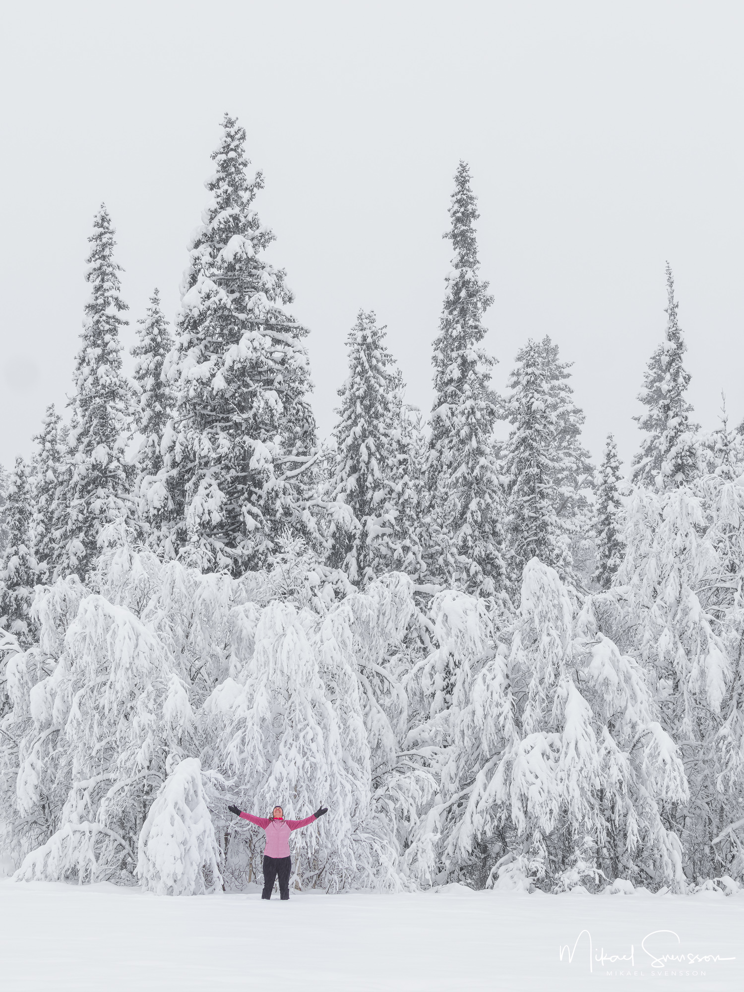 storsätern-grövelsjöfjällen-221229115-Edit