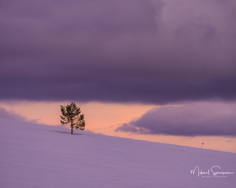 Långfjället, Dalarna.