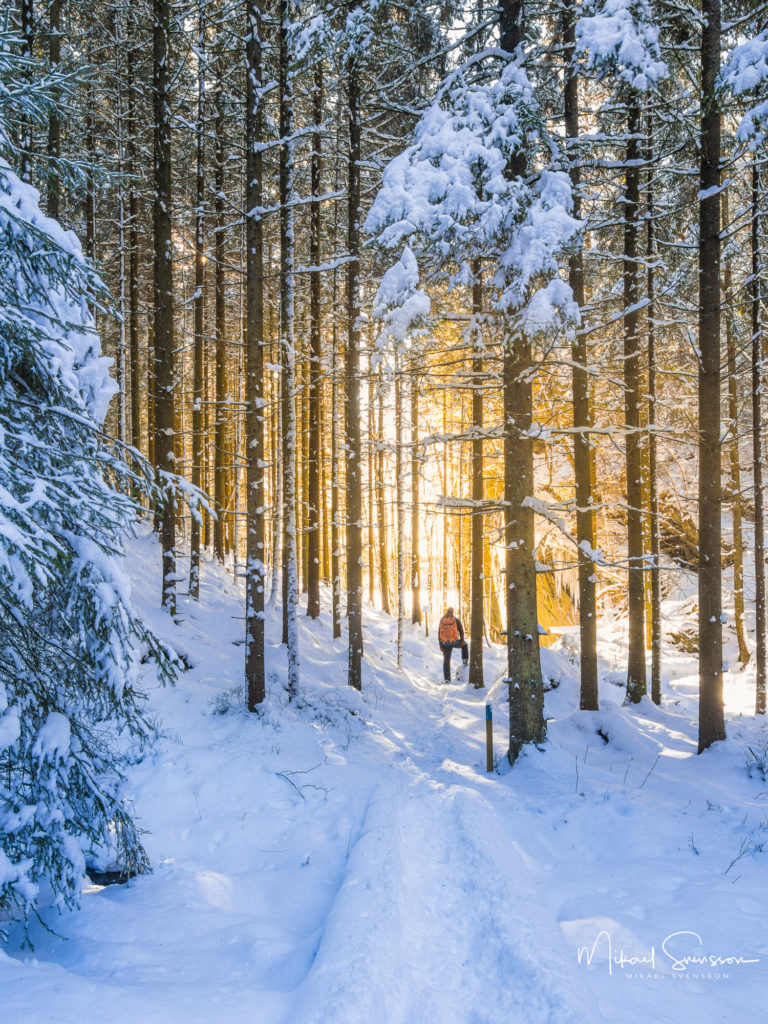 Vandring vid Helsjön, Marks kommun.