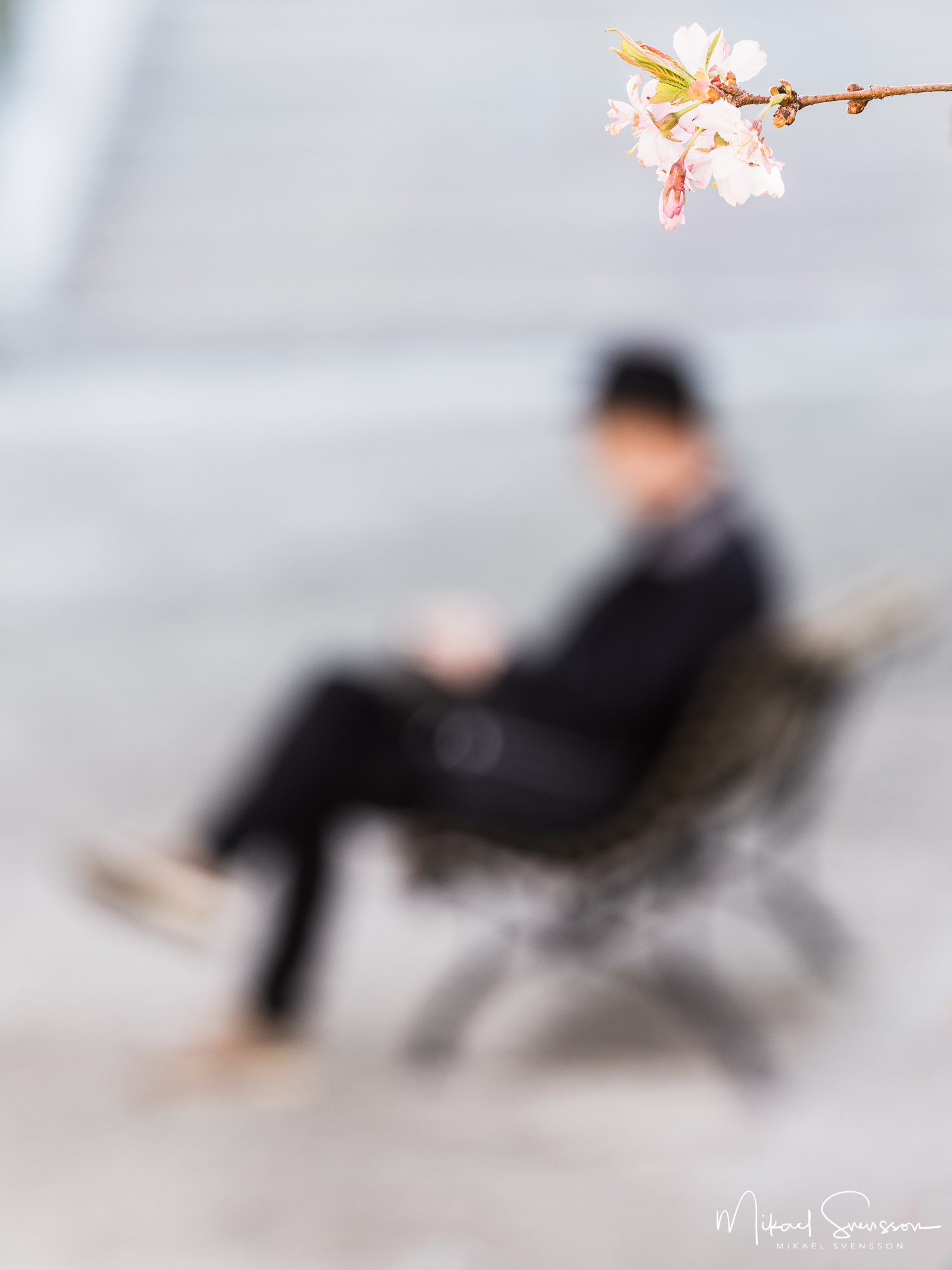 Seminarieparken, Göteborg.