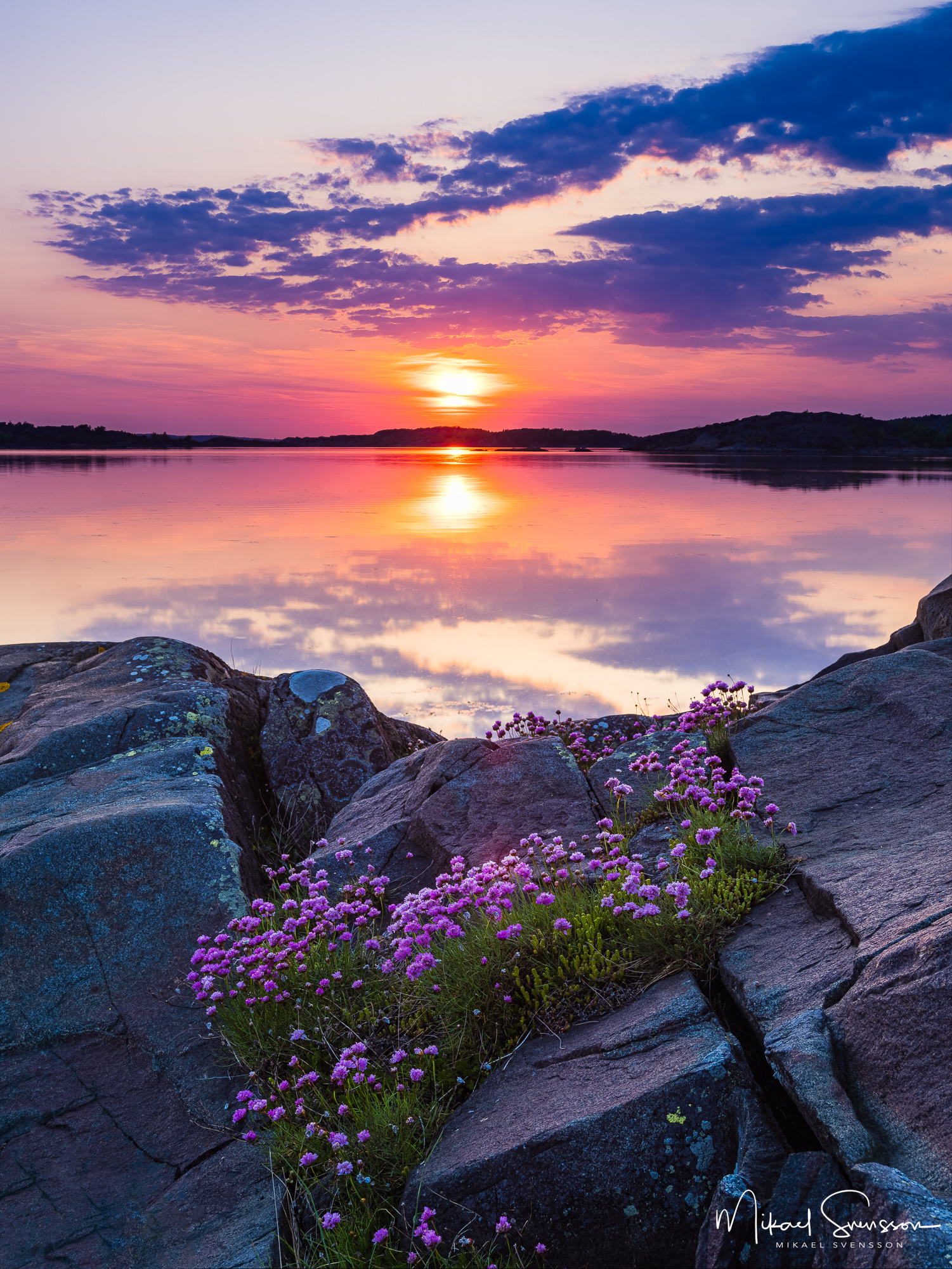 Trfit vid solnedgång. Billdal, Göteborg.