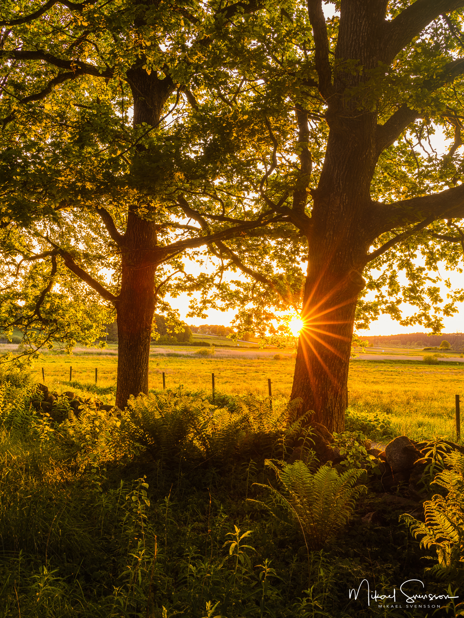 Solnedgång vid naturområdet Hökälla, Hisingen.