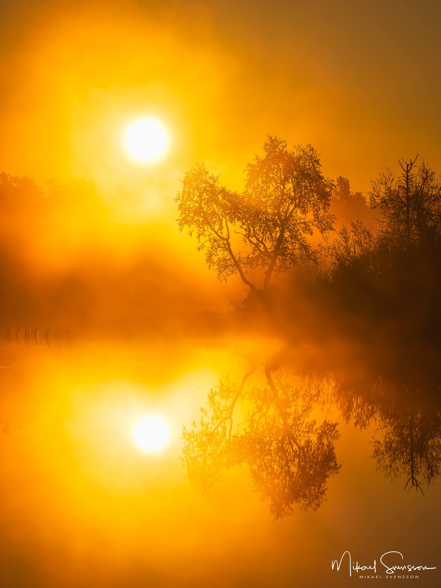 Dimma vid sjön Messmörtjärnen, Härjedalen.