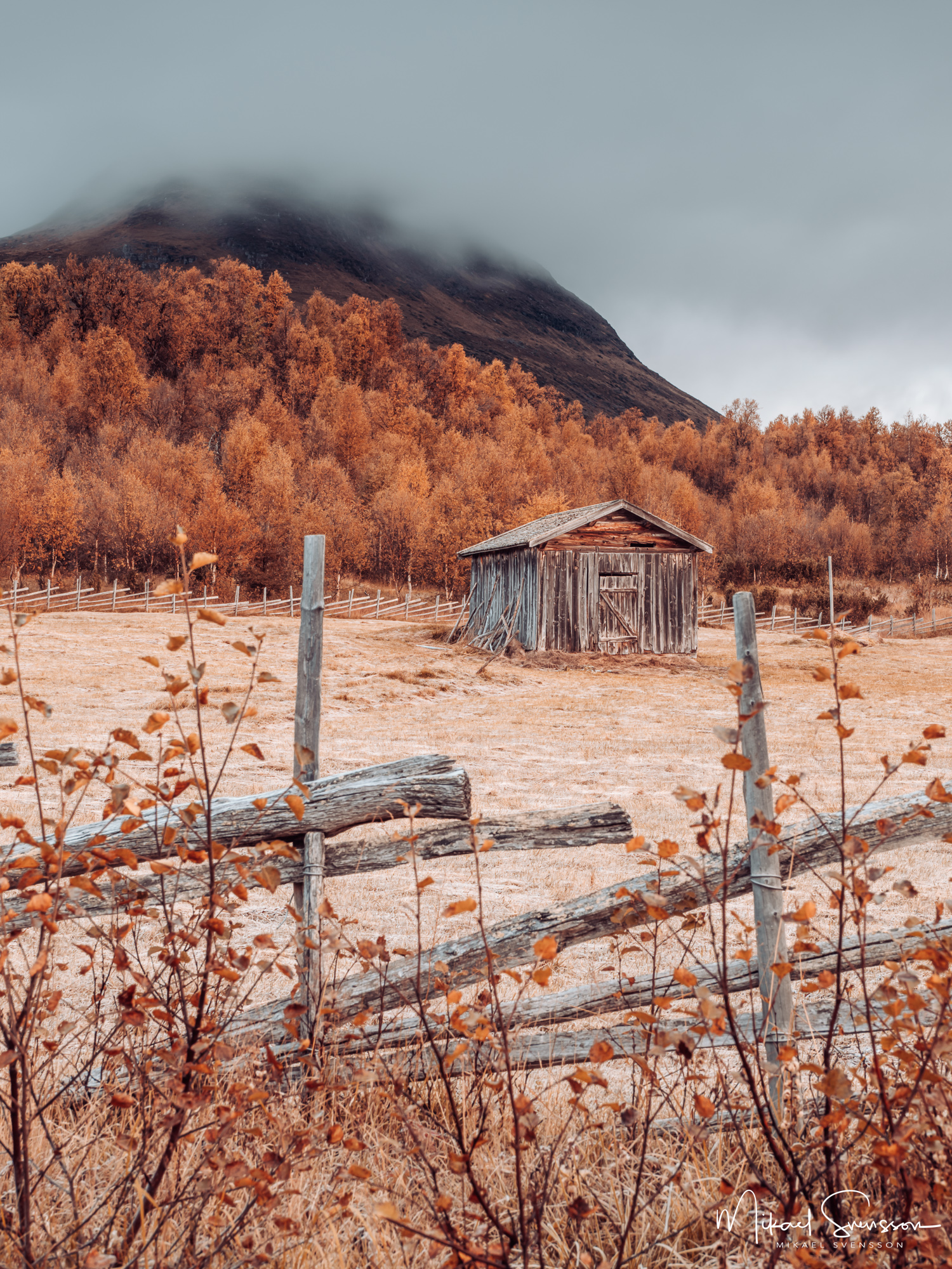 Höstfärger vid Storkläppvallen, Härjedalen.