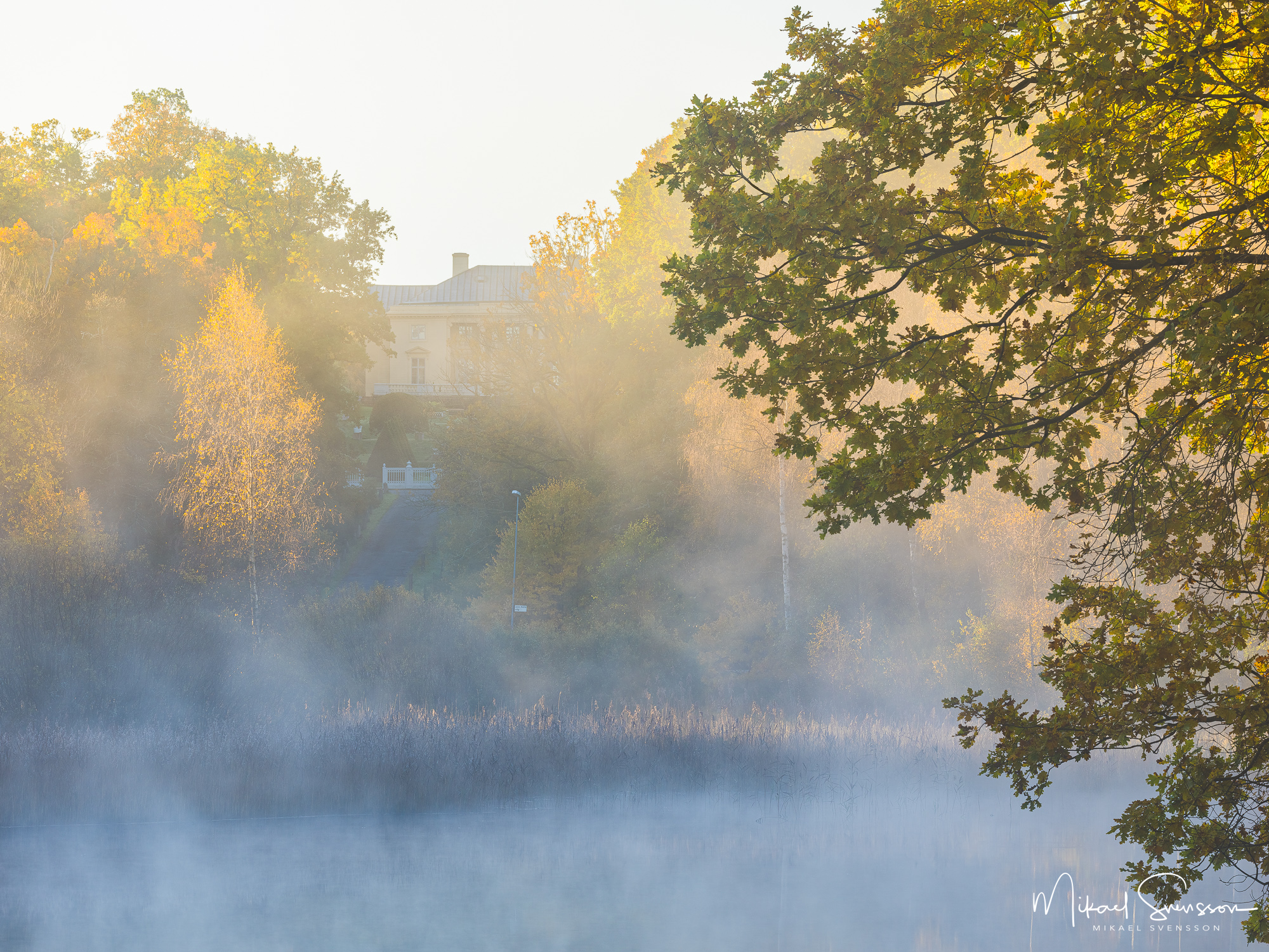 Dimma vid Ståloppet framför Gunnebo Slott, Mölndal.