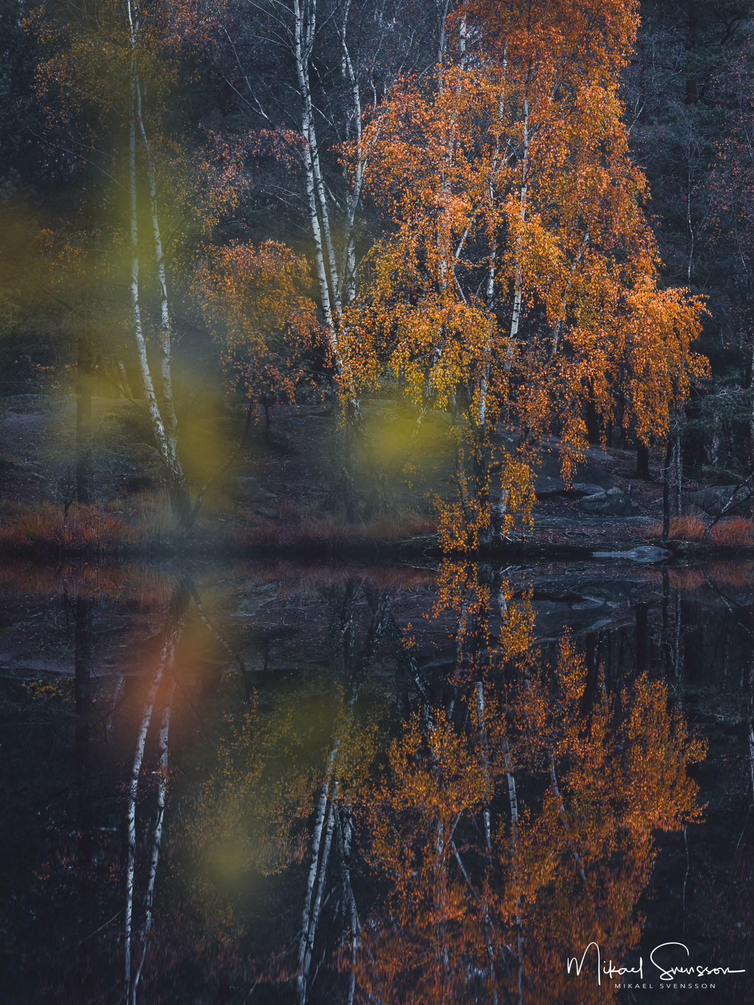 Höst vid Trinde mosse, Änggårdsbergen Naturreservat, Mölndal.