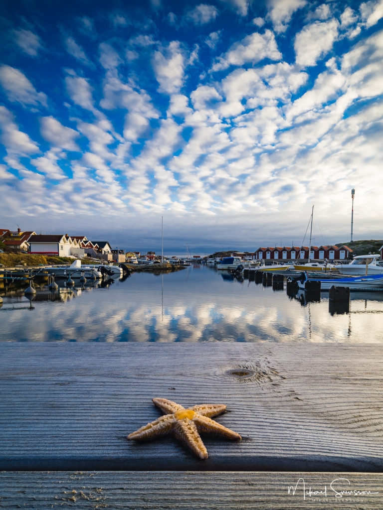 Sjöstjärna ligger på brygga vid Fotö hamn, Öckerö kommun.