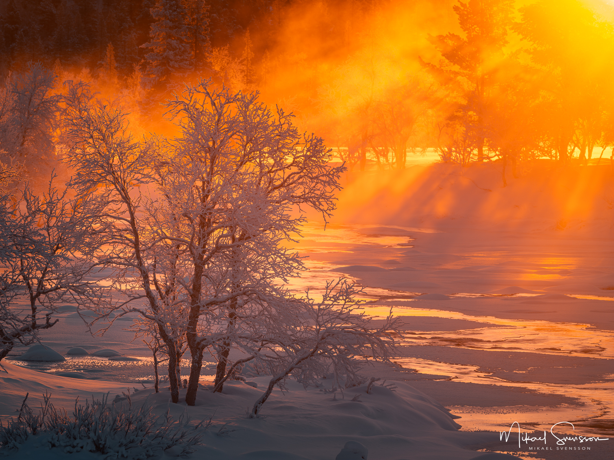 Soluppgång vid Grövlan en kall och frostig vintermorgon i Januari. Foto: Mikael Svensson