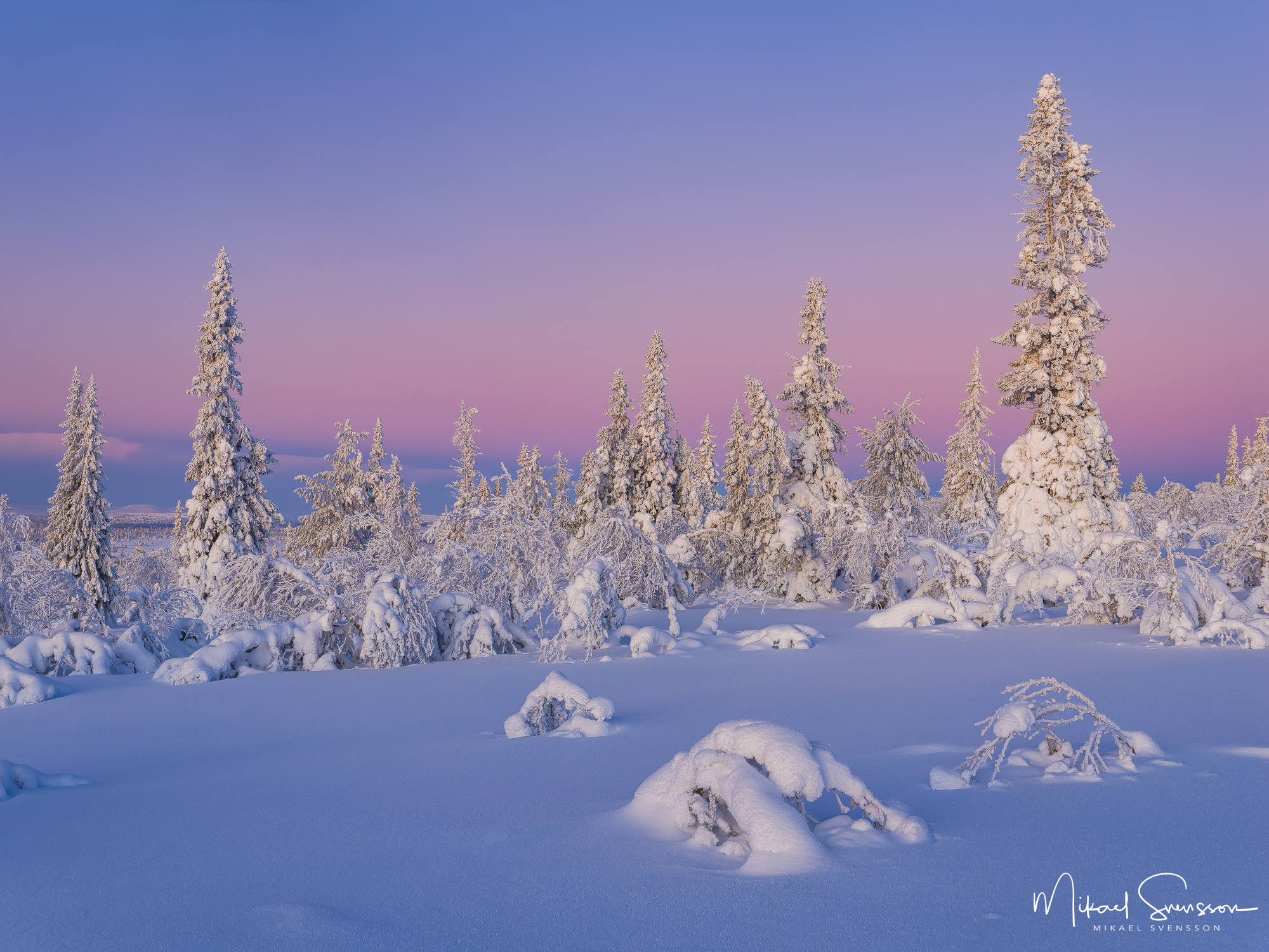 Vacker soluppgång vid vinterlandskap i Lofsdalen.