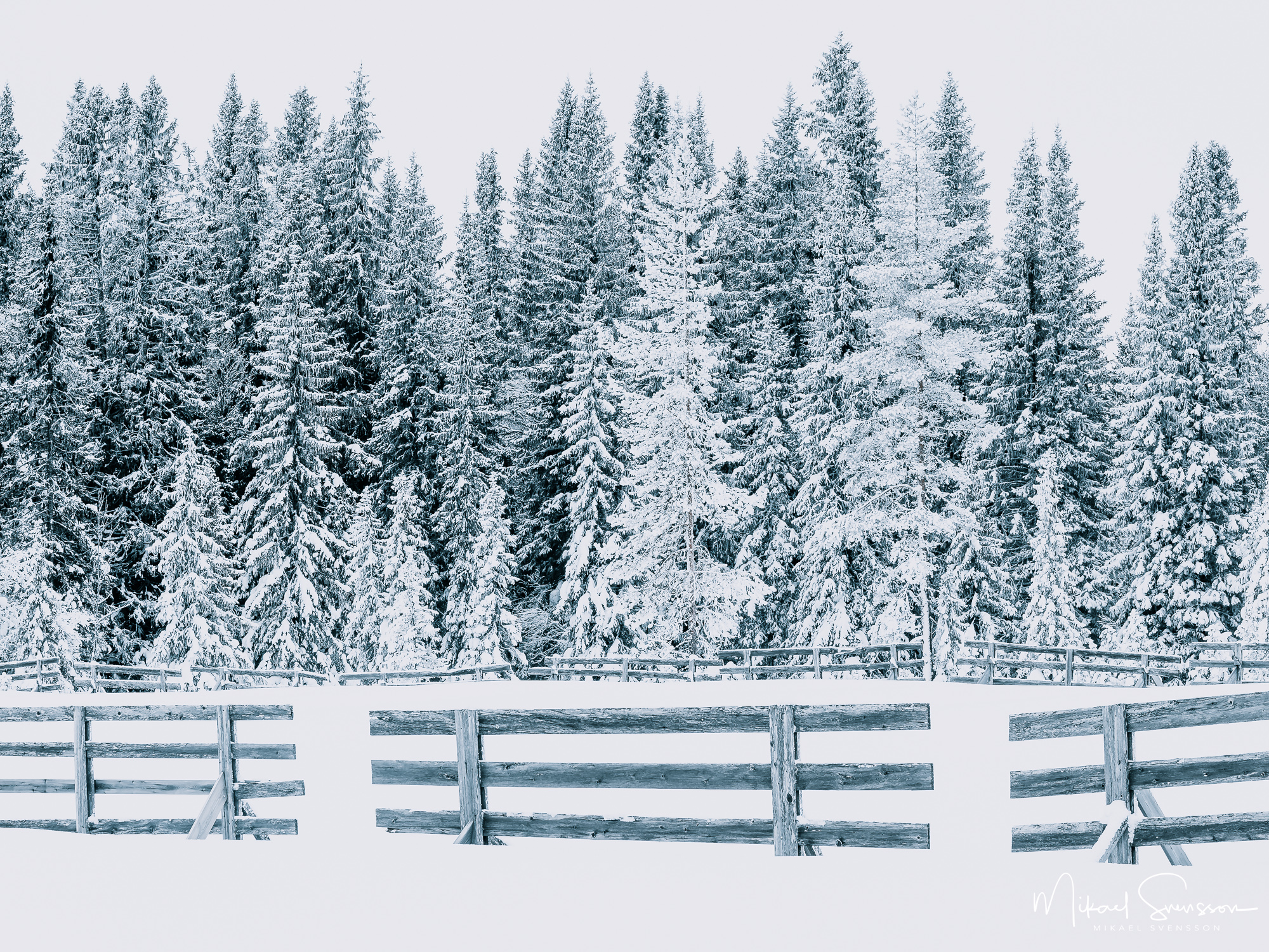 Snöstaket vid Lövåsen, Grövelsjöfjällen.