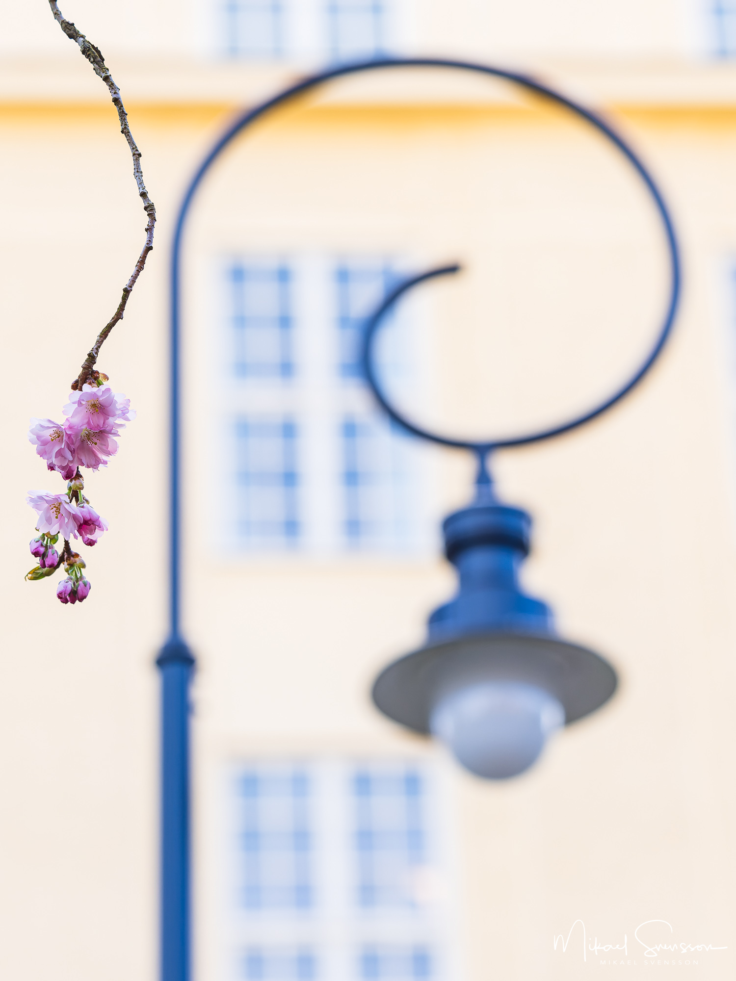 Seminarieparken i Göteborg. Foto: Mikael Svensson